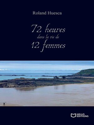 cover image of 72 heures dans la vie de 12 femmes